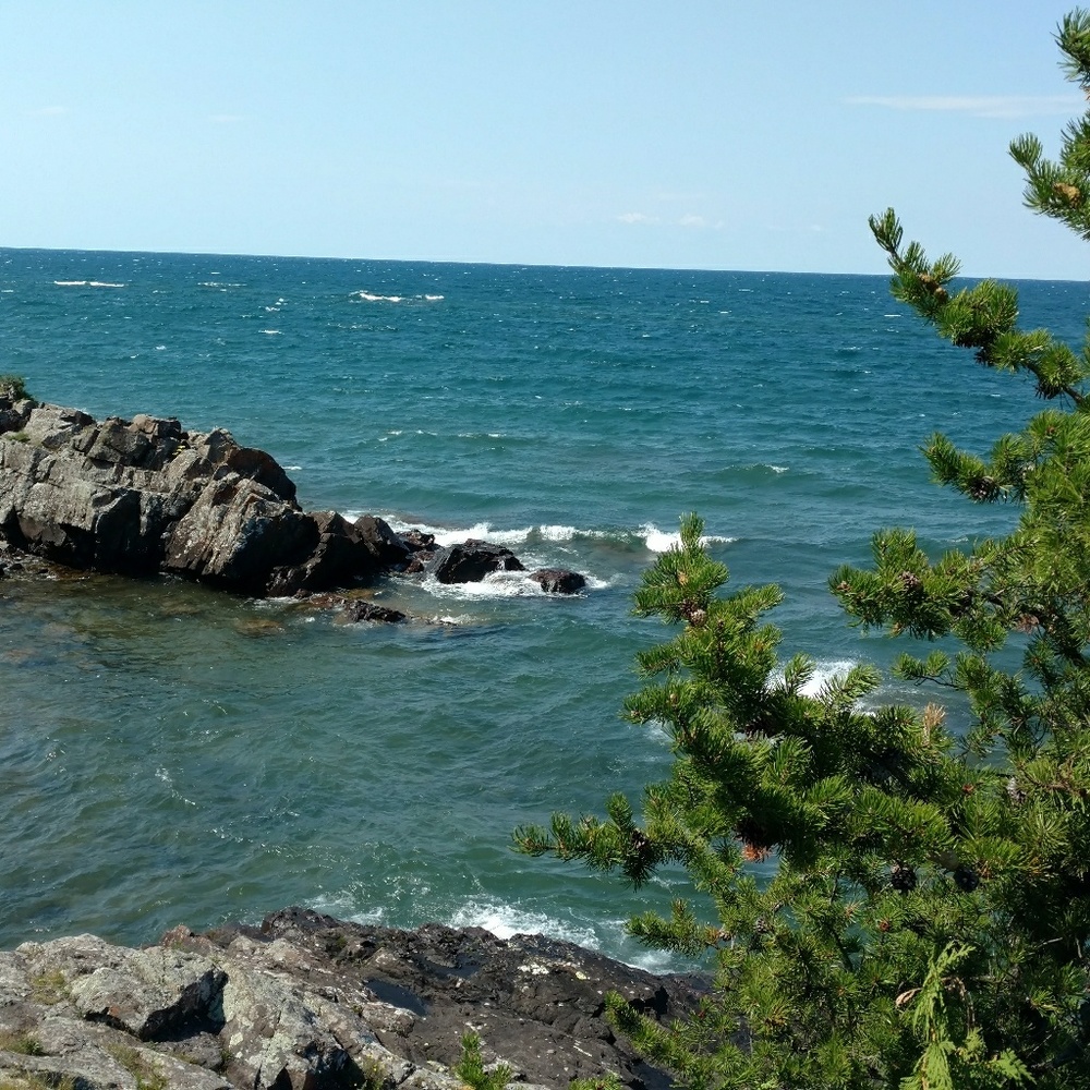 Meet your Posher, Richelle